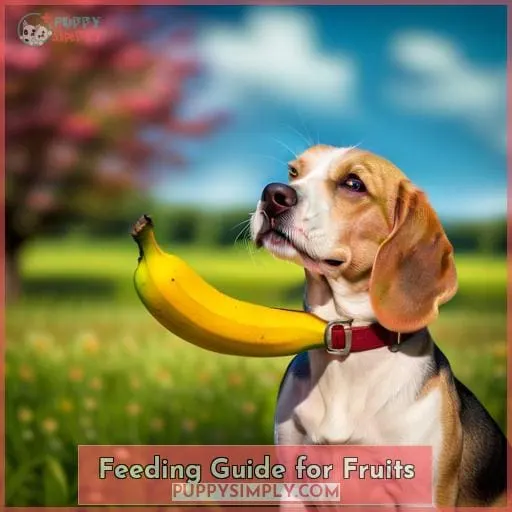 Feeding Guide for Fruits