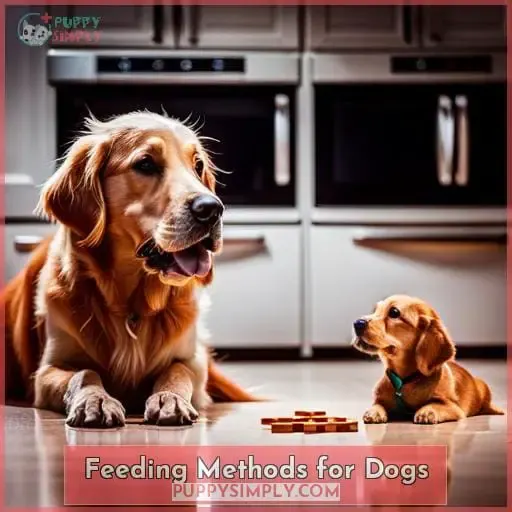 Feeding Methods for Dogs
