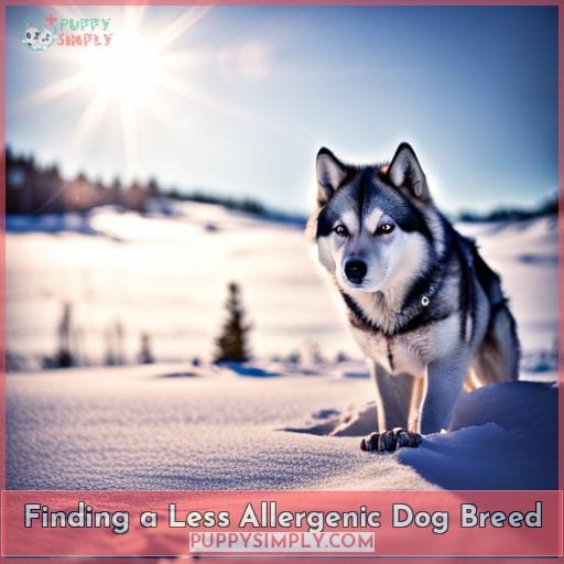 Finding a Less Allergenic Dog Breed Finding a Less Allergenic Dog Breed