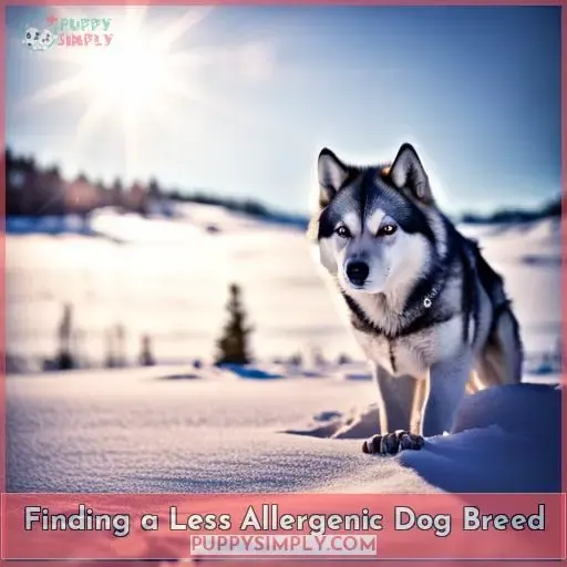 Finding a Less Allergenic Dog Breed