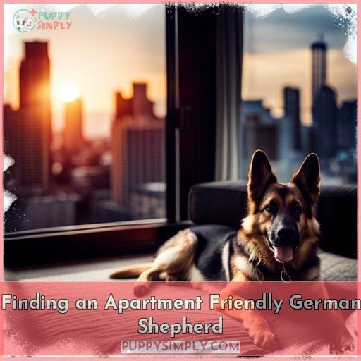 Finding an Apartment Friendly German Shepherd