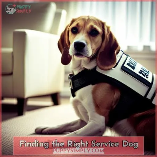 Finding the Right Service Dog