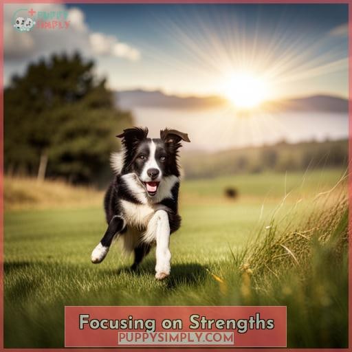 Focusing on Strengths