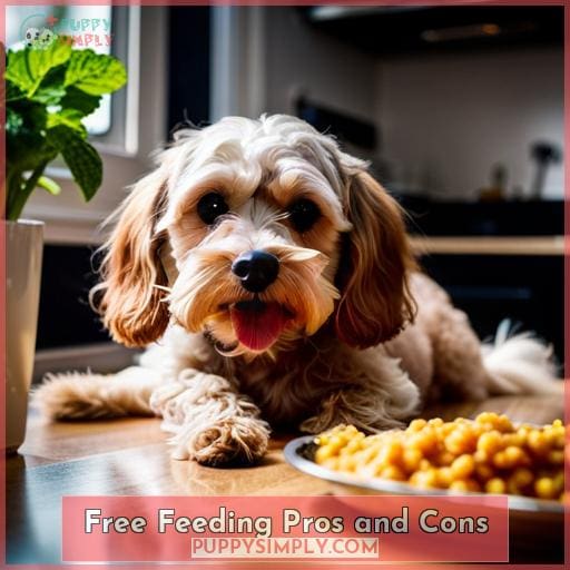 Free Feeding Pros and Cons