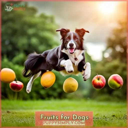 Fruits for Dogs