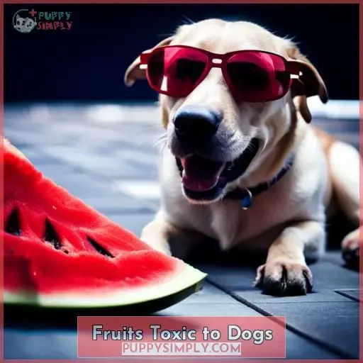Fruits Toxic to Dogs