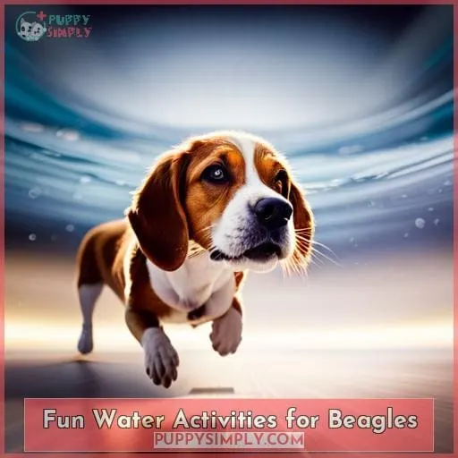 Fun Water Activities for Beagles