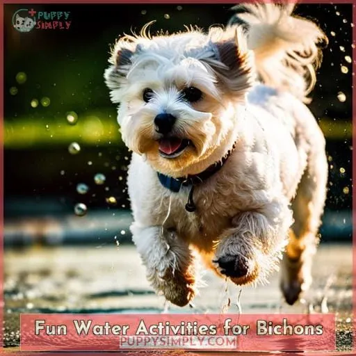 Fun Water Activities for Bichons