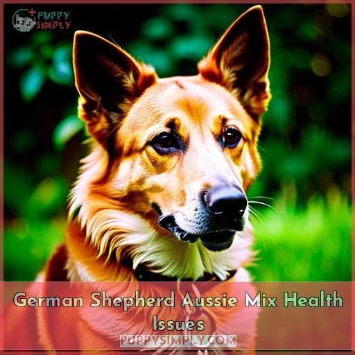 German Shepherd Aussie Mix Health Issues German Shepherd Aussie Mix Health Issues