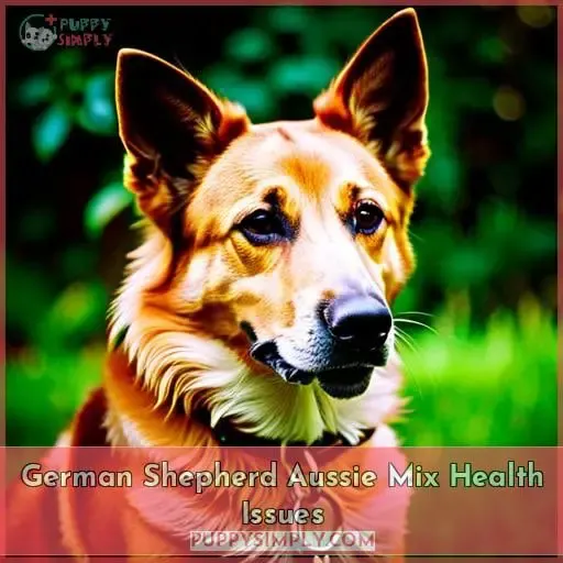 German Shepherd Aussie Mix Health Issues