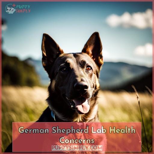 German Shepherd Lab Health Concerns