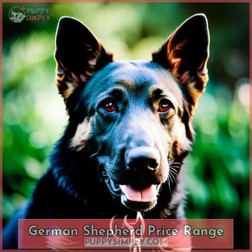 German Shepherd Price Range
