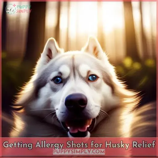 Getting Allergy Shots for Husky Relief