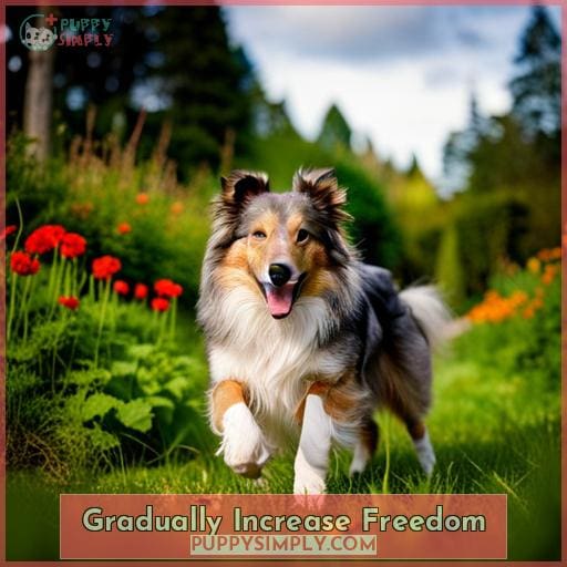 Gradually Increase Freedom