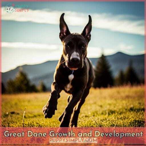 Great Dane Growth and Development Great Dane Growth and Development