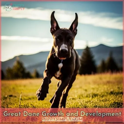 Great Dane Growth and Development