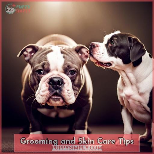Grooming and Skin Care Tips