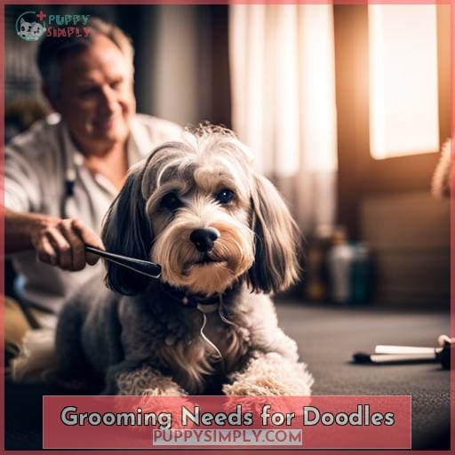 Grooming Needs for Doodles