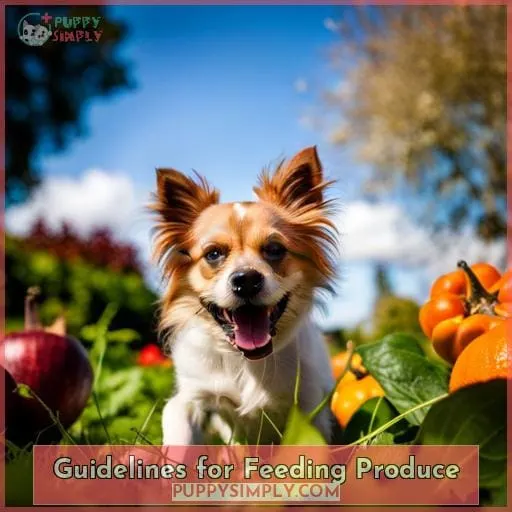 Guidelines for Feeding Produce