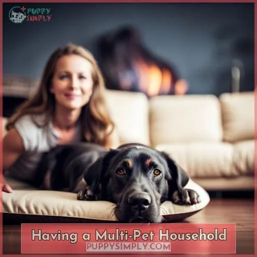 Having a Multi-Pet Household