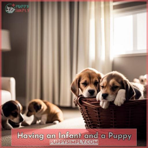 Having an Infant and a Puppy