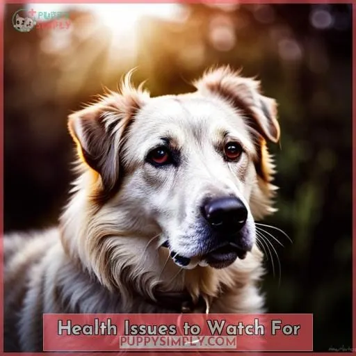 Health Issues to Watch For