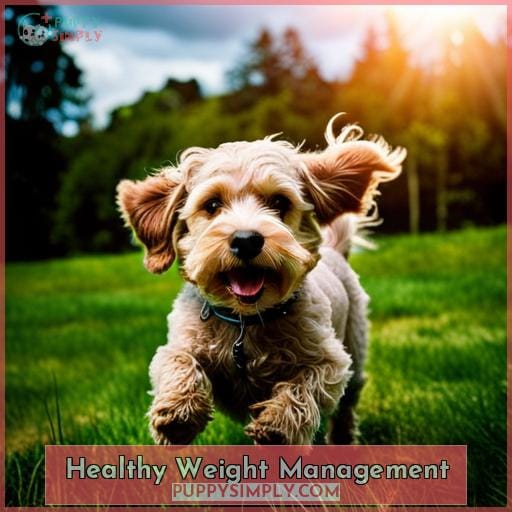 Healthy Weight Management