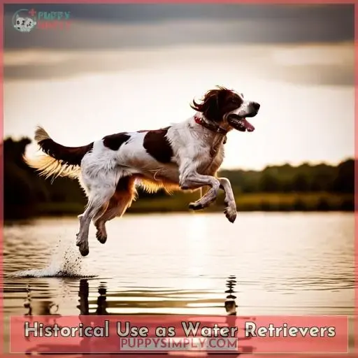 Historical Use as Water Retrievers