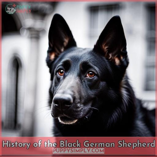 History of the Black German Shepherd
