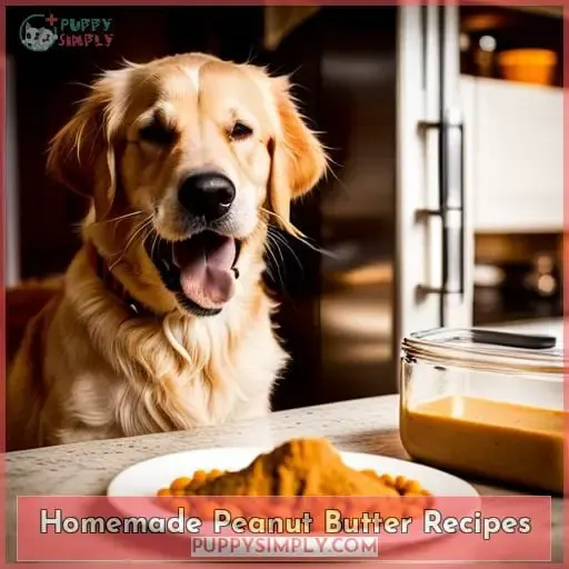 Homemade Peanut Butter Recipes