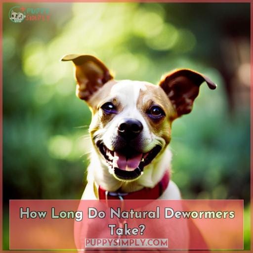How Long Do Natural Dewormers Take