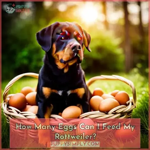 How Many Eggs Can I Feed My Rottweiler