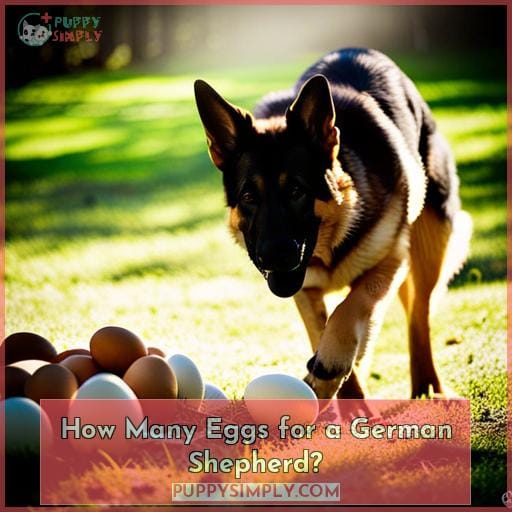 How Many Eggs for a German Shepherd