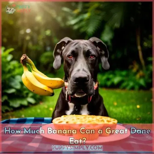 How Much Banana Can a Great Dane Eat
