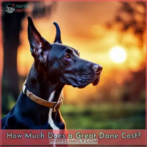 How Much Does a Great Dane Cost