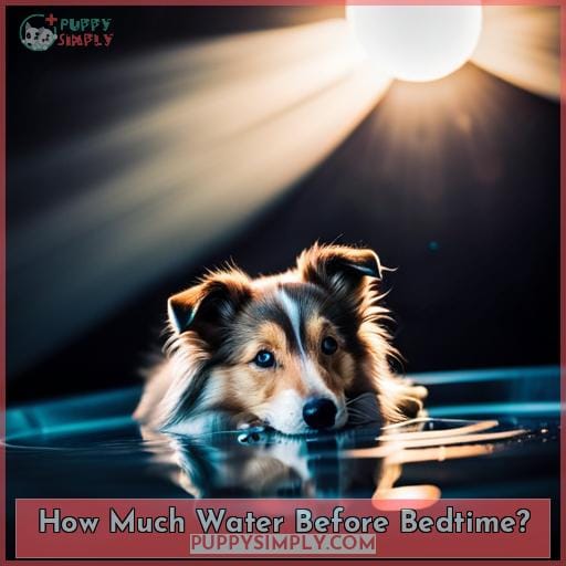 How Much Water Before Bedtime How Much Water Before Bedtime