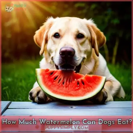 How Much Watermelon Can Dogs Eat