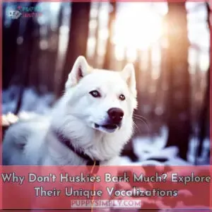 how often do huskies bark