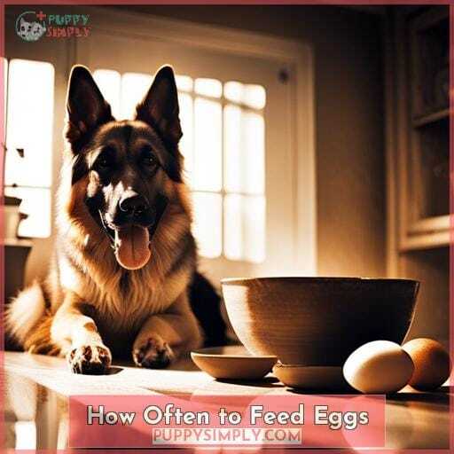 How Often to Feed Eggs How Often to Feed Eggs