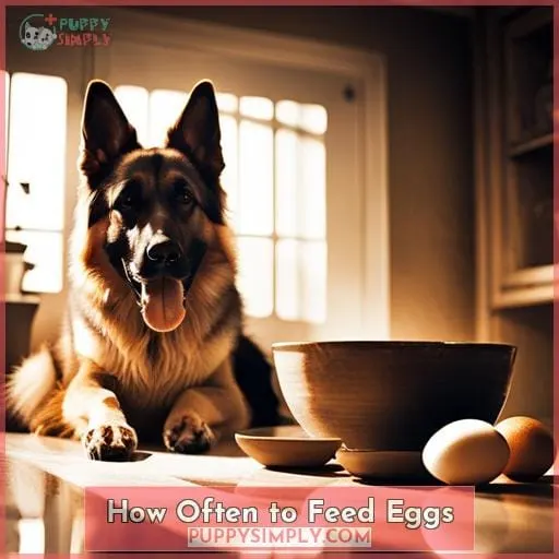 How Often to Feed Eggs