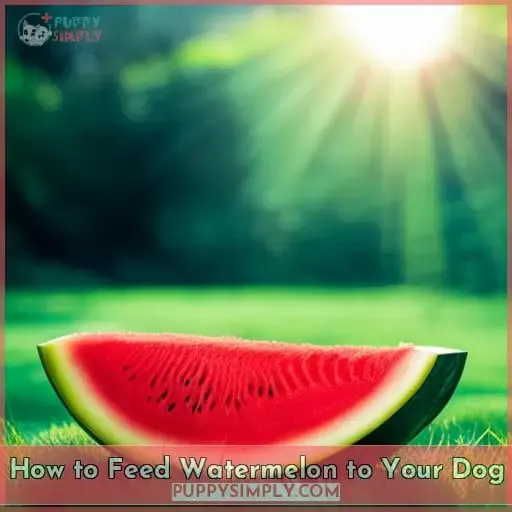 How to Feed Watermelon to Your Dog