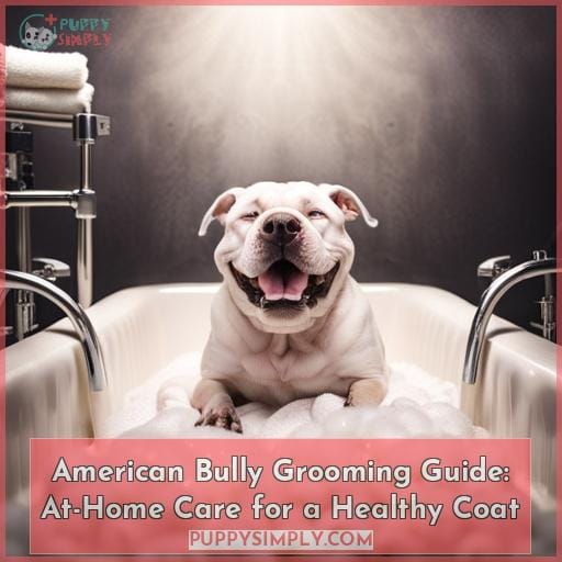 how to groom an american bully at home