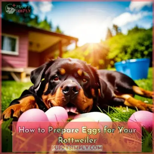 How to Prepare Eggs for Your Rottweiler