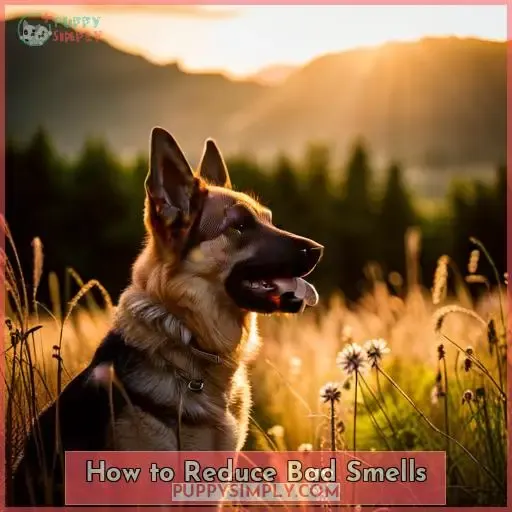 How to Reduce Bad Smells