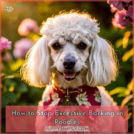 How Often Do Poodles Bark? Learn How to Reduce Excessive Barking