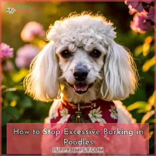 How to Stop Excessive Barking in Poodles