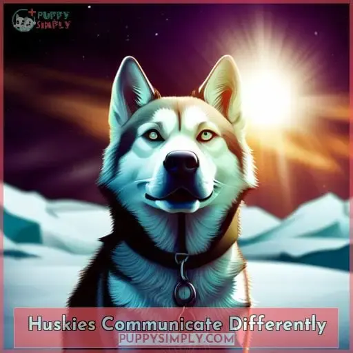 Huskies Communicate Differently