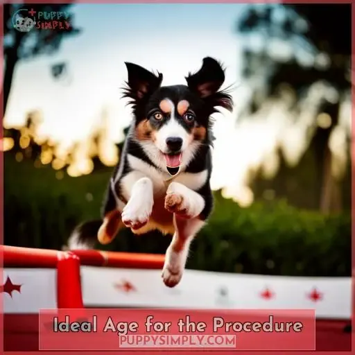 Ideal Age for the Procedure