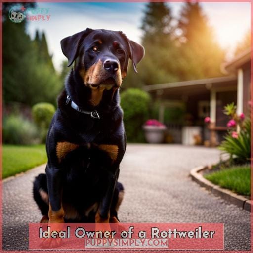 Ideal Owner of a Rottweiler