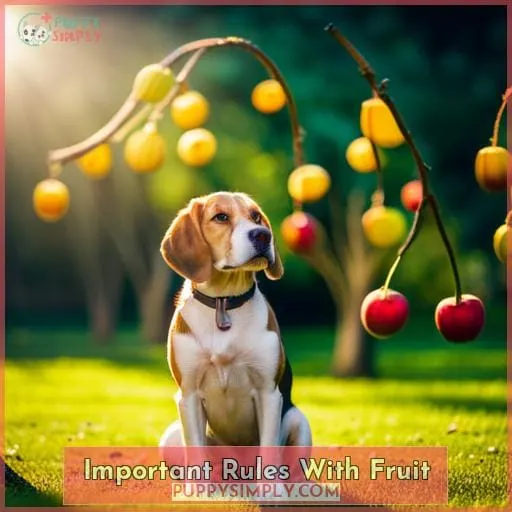 Important Rules With Fruit